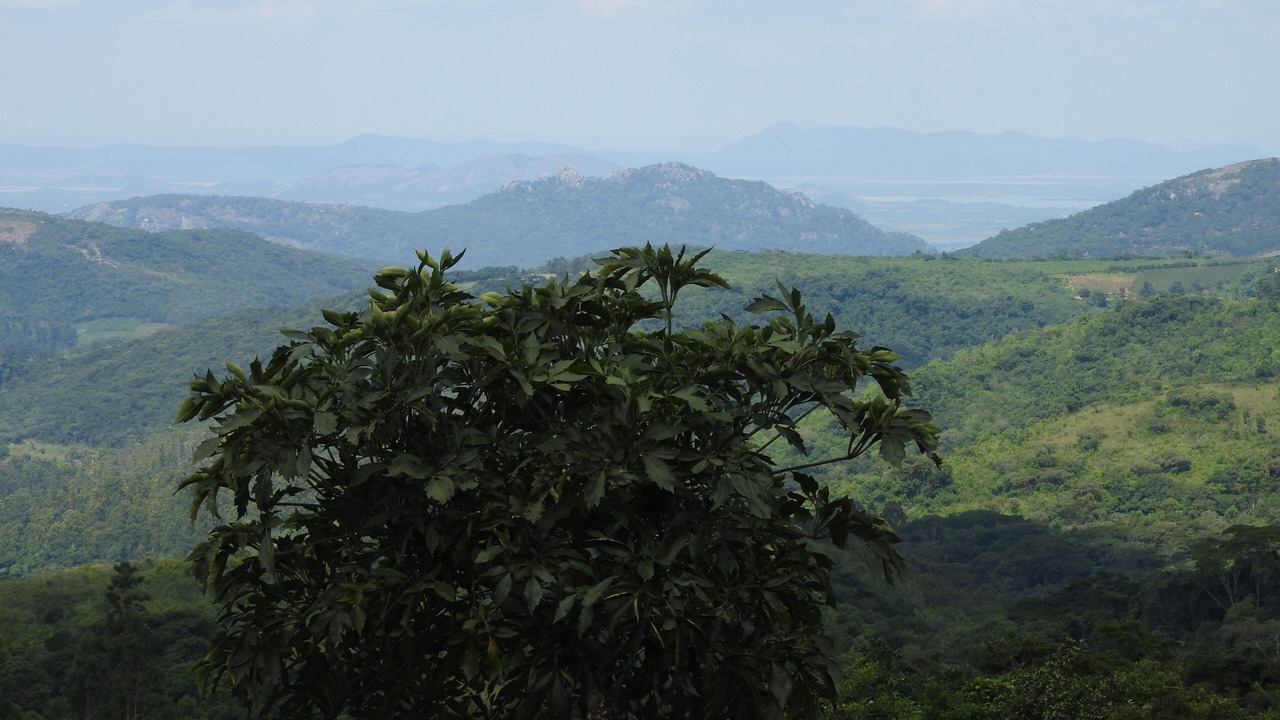 Photo of Outdoor in Mutare