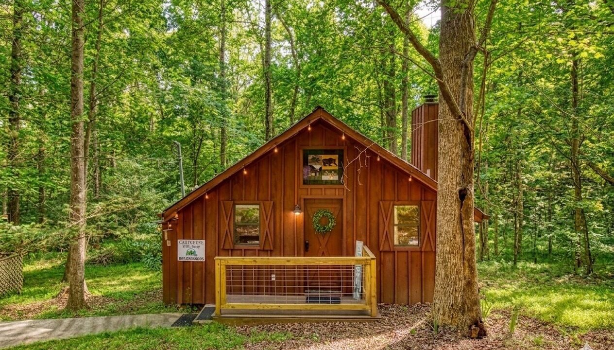 Photo of Outdoor in Townsend