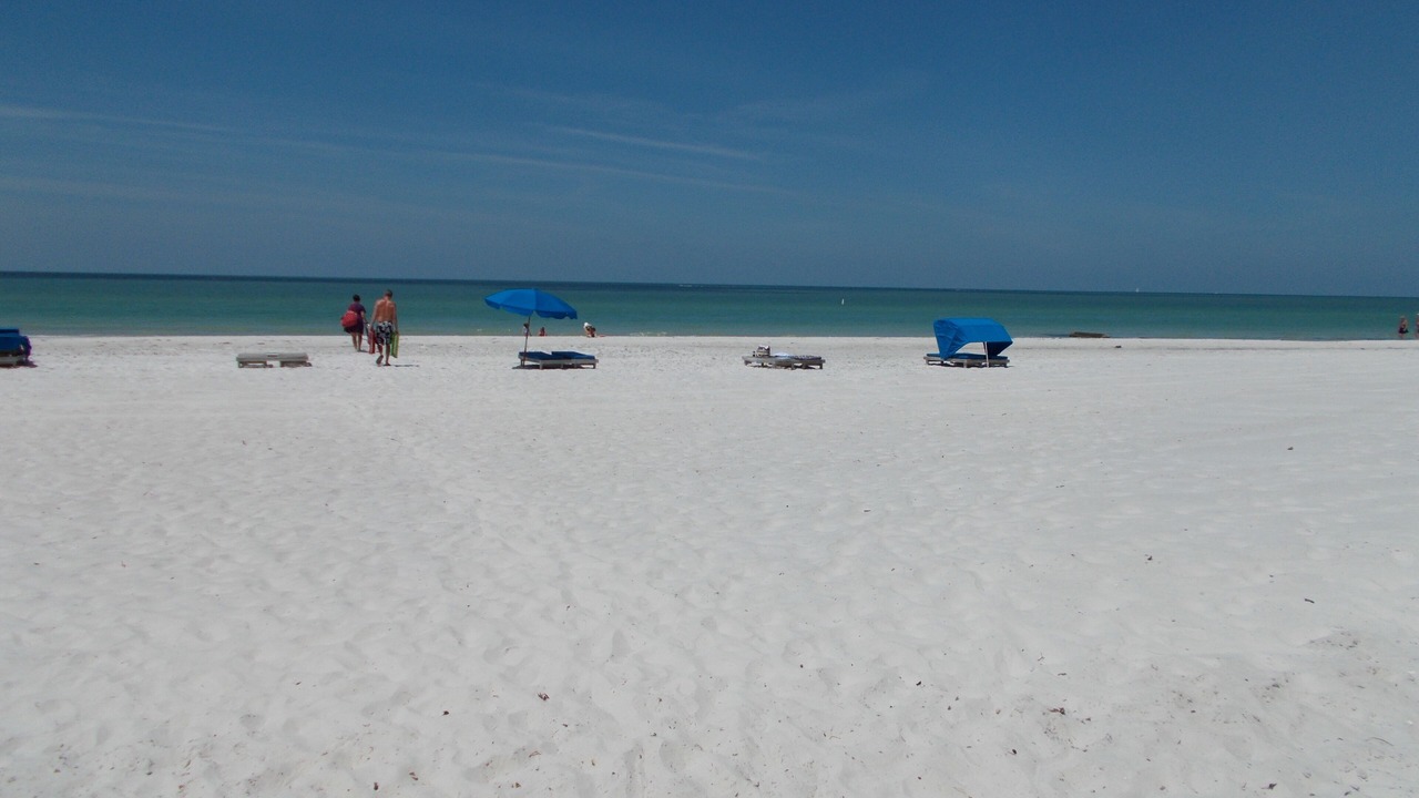 Photo of Others in Madeira Beach