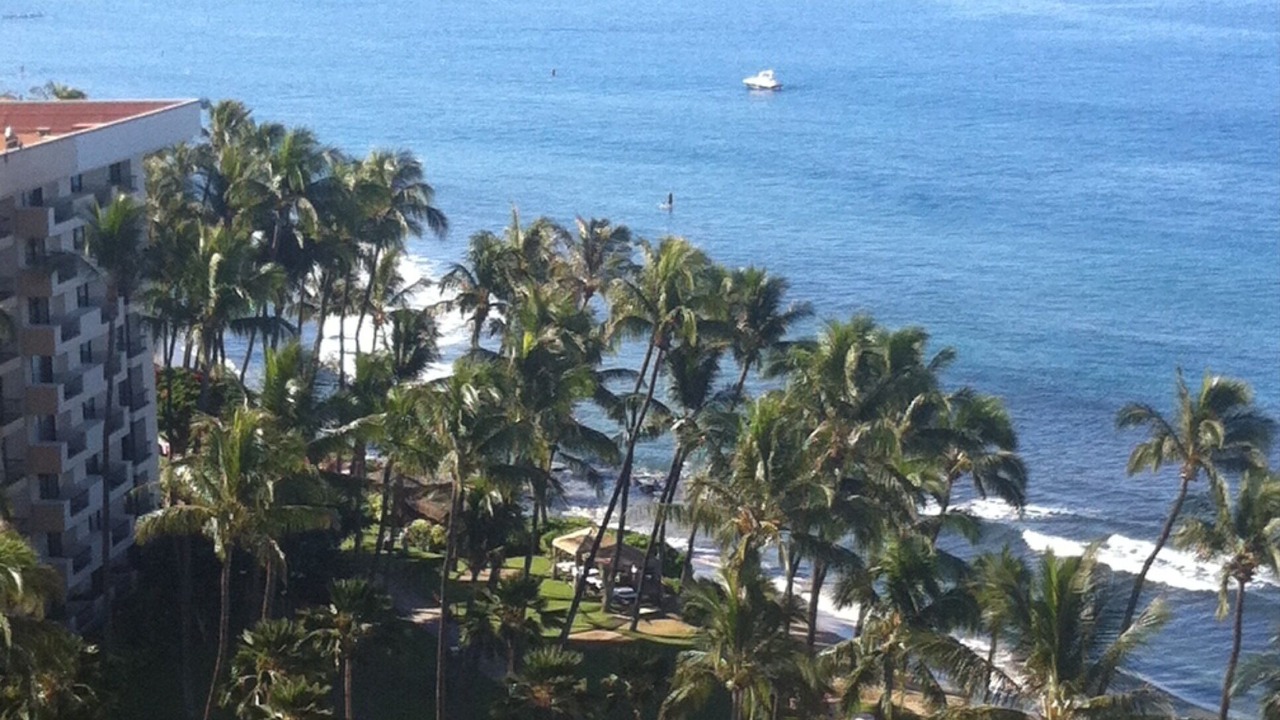 Photo of Outdoor in Kaanapali