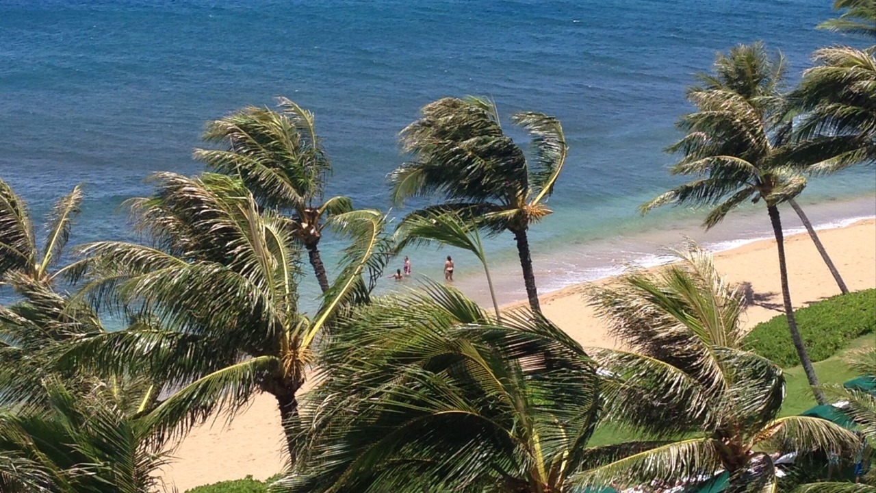 Photo of Others in Kaanapali