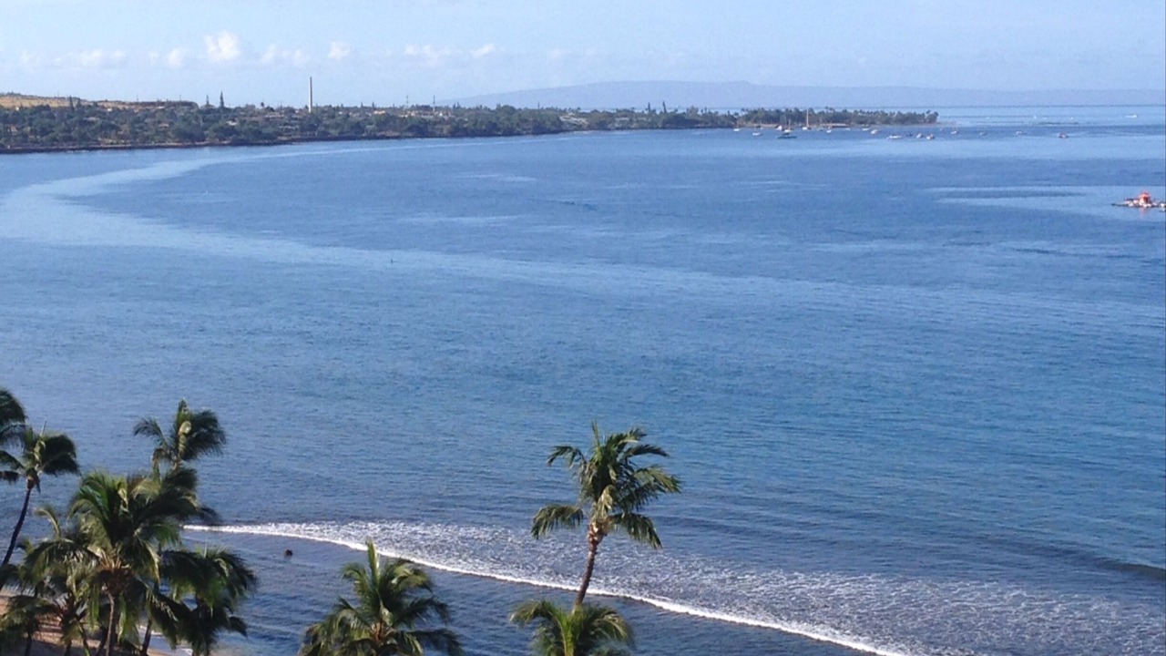 Photo of Others in Kaanapali