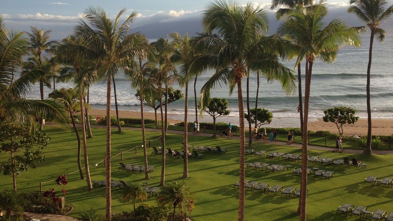 Photo of Outdoor in Kaanapali