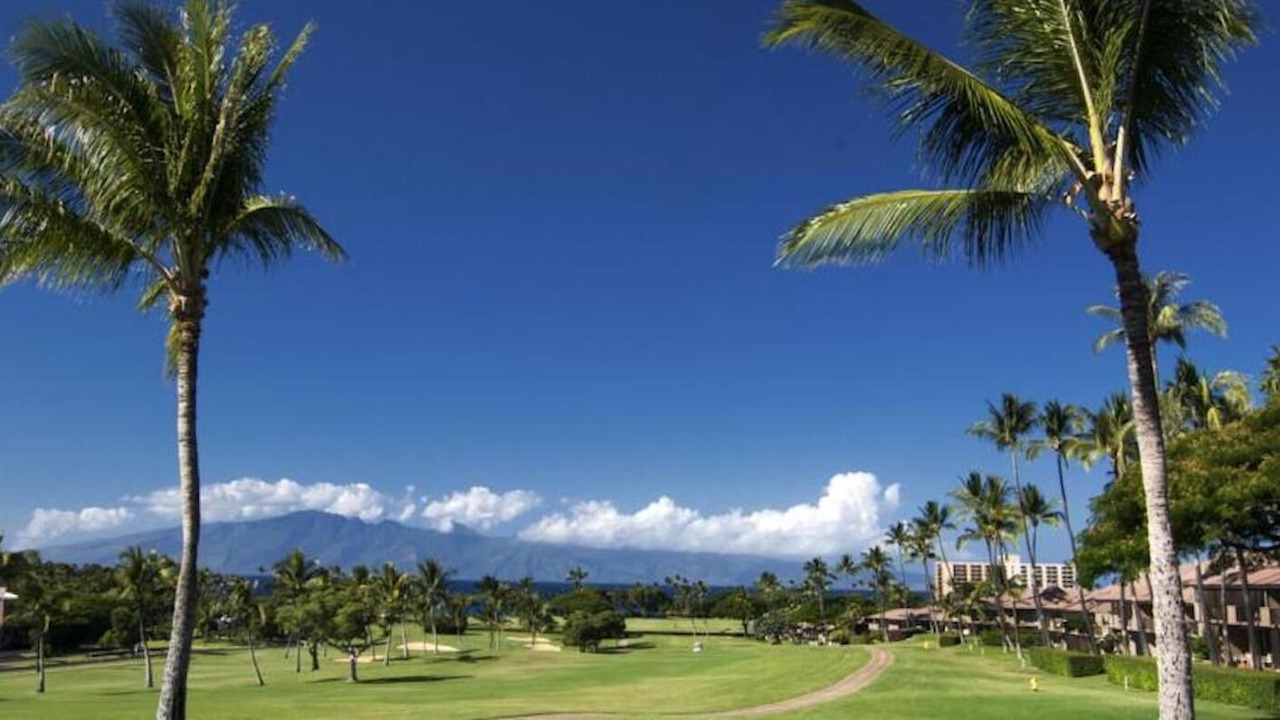 Photo of Others in Kaanapali