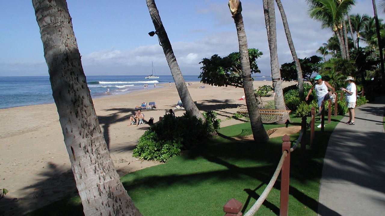 Photo of Others in Kaanapali