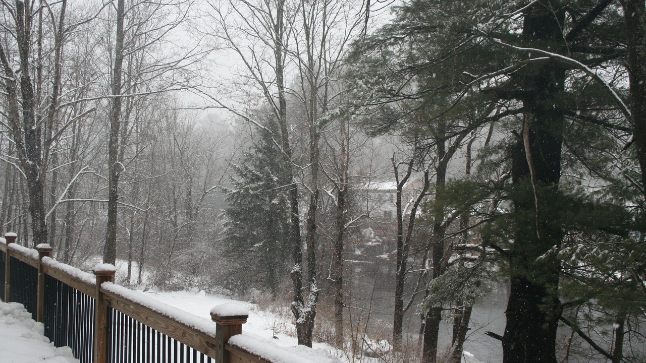 Photo of Others in Lake George