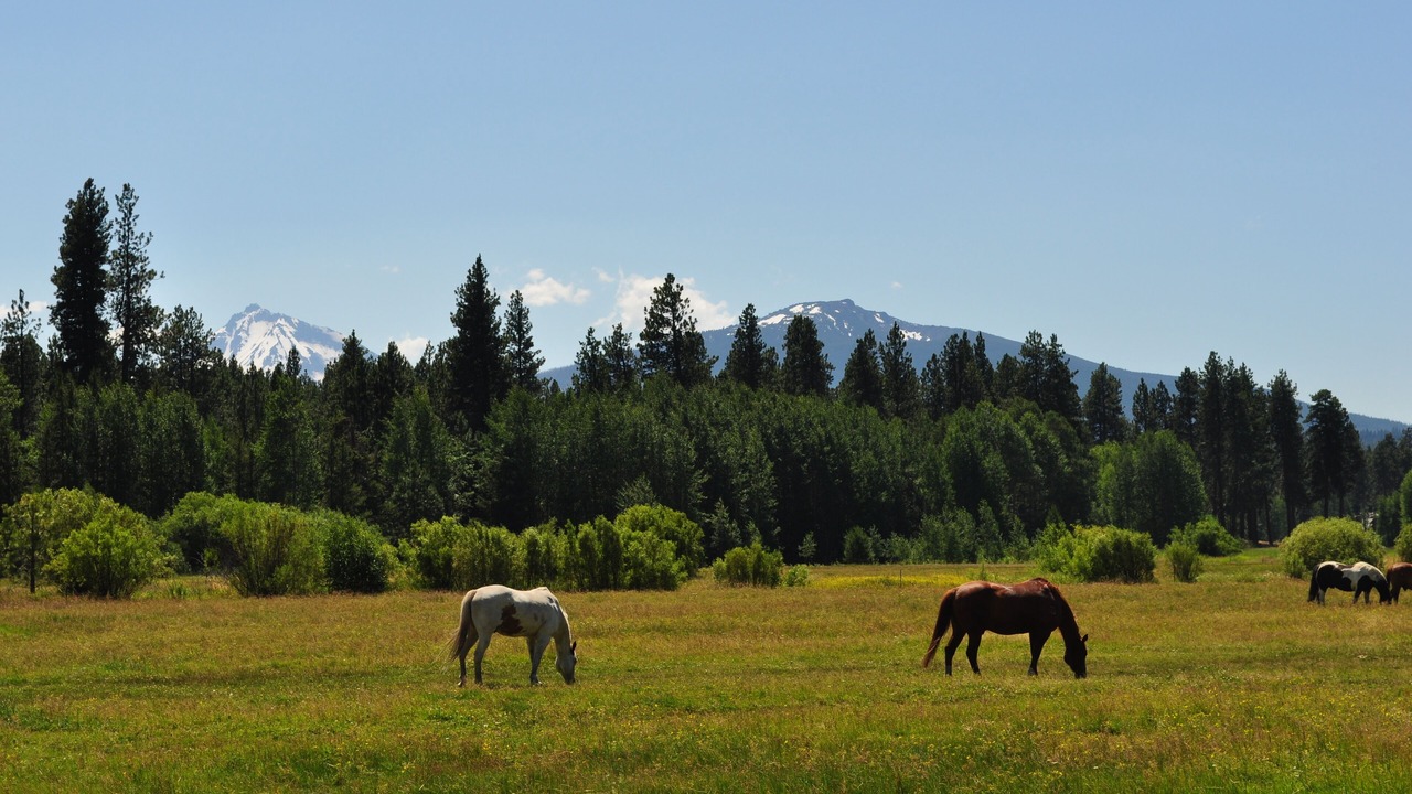 Photo of Others in Black Butte Ranch