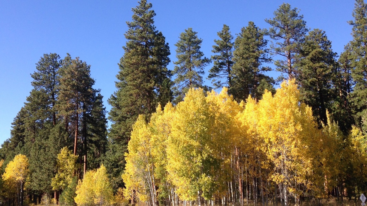 Photo of Others in Black Butte Ranch