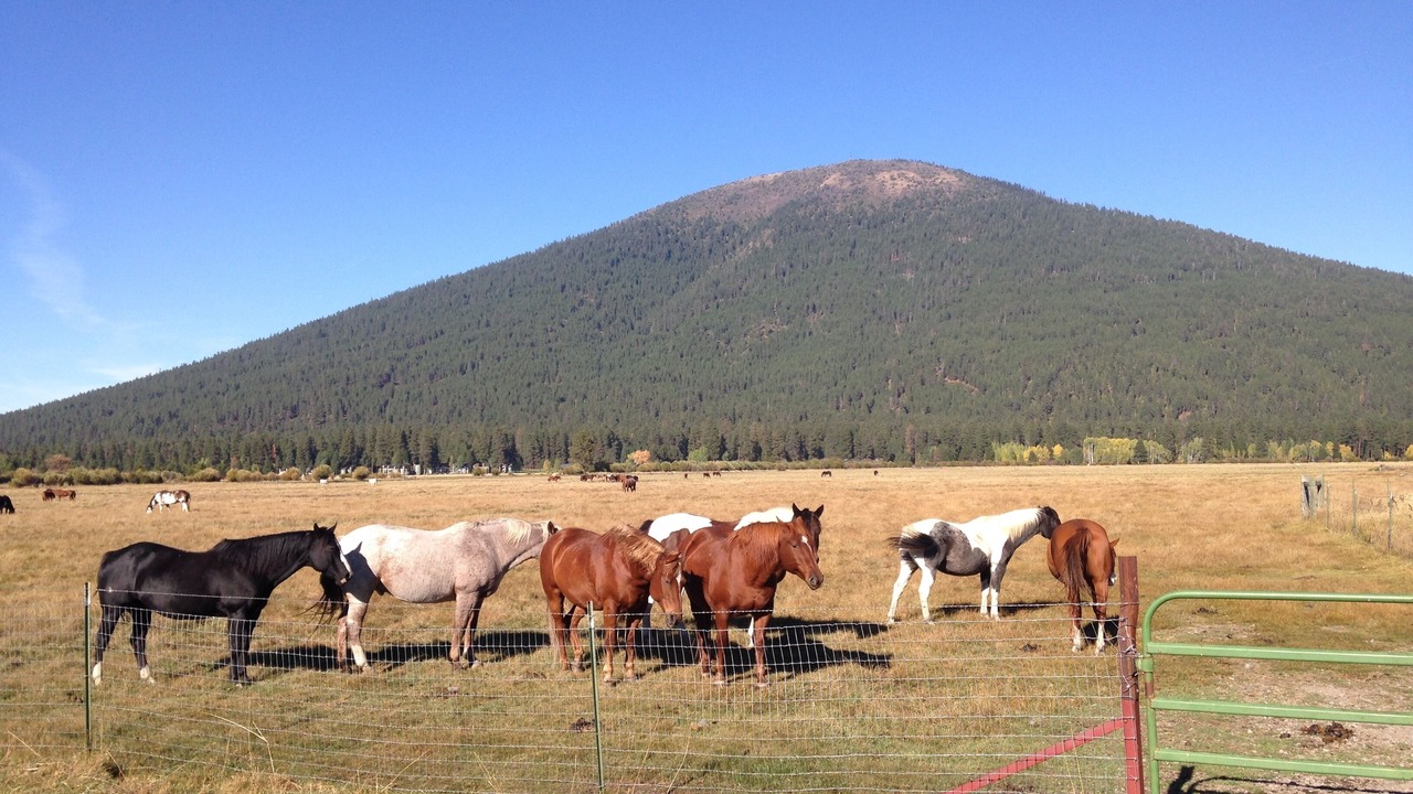 Photo of Others in Black Butte Ranch
