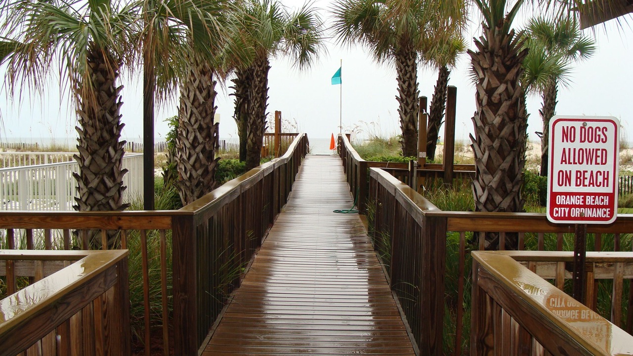 Photo of Others in Orange Beach East