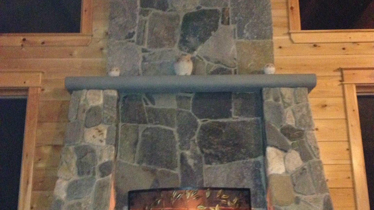Photo of Livingroom in Beaver Cove