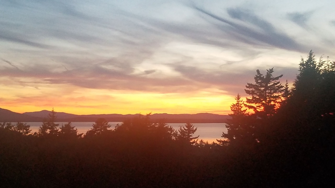 Photo of Others in Beaver Cove