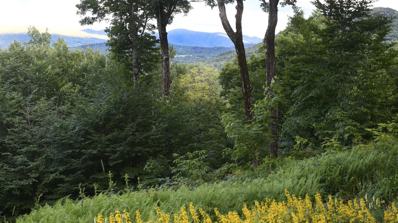 Photo of Outdoor in Mad River Valley
