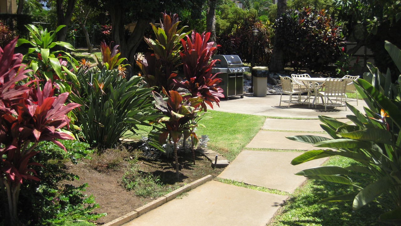 Photo of Others in Kihei