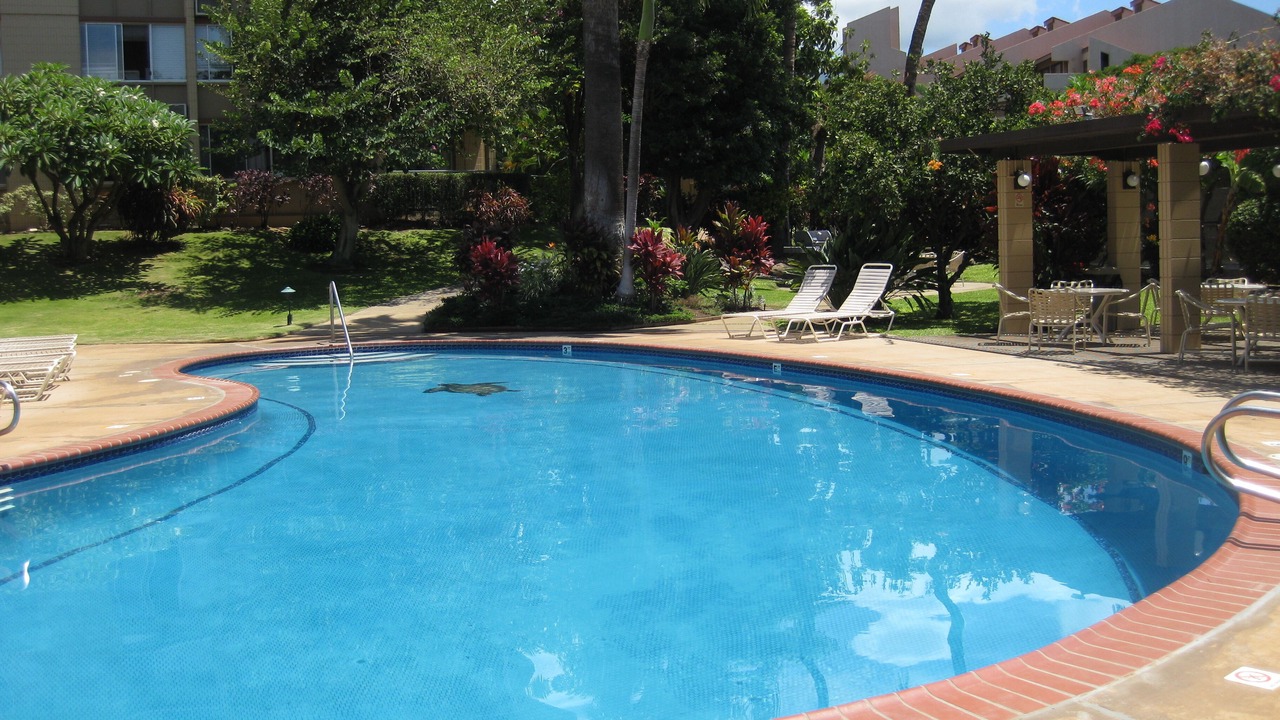 Photo of Outdoor in Kihei
