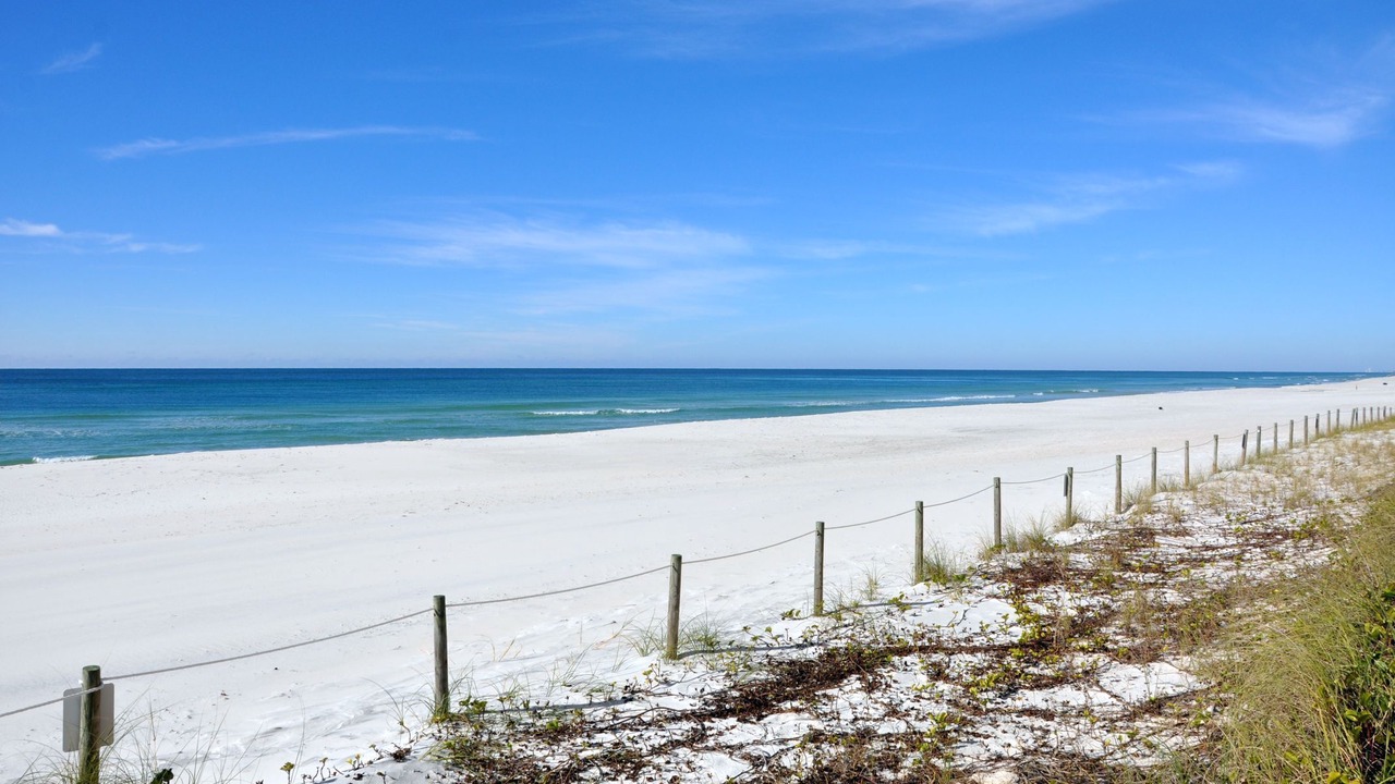 Photo of Others in West Panama City Beach