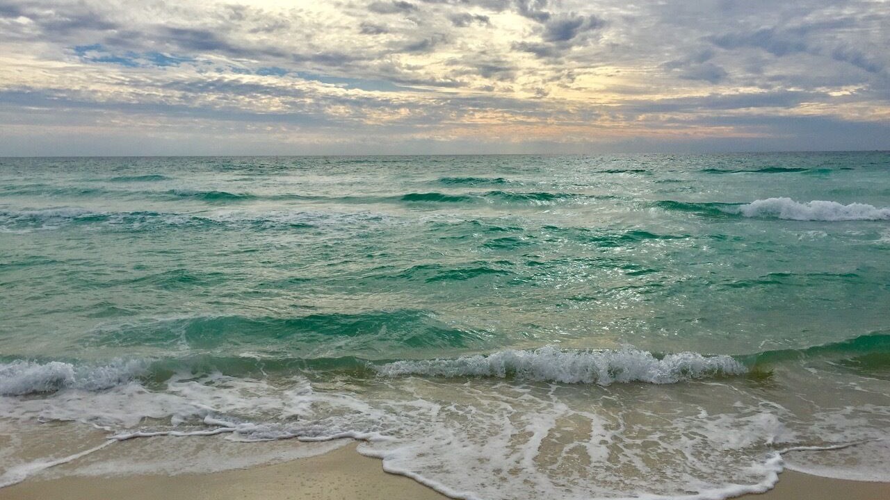 Photo of Others in West Panama City Beach
