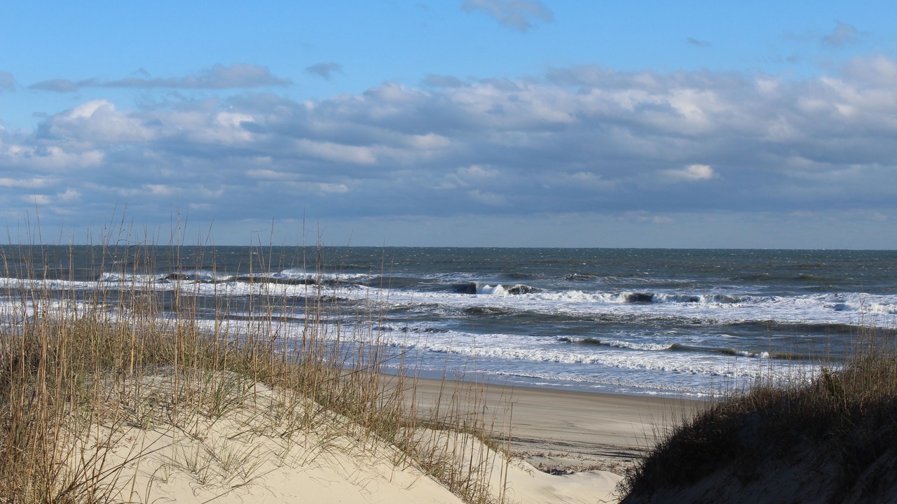 Photo of Others in Corolla