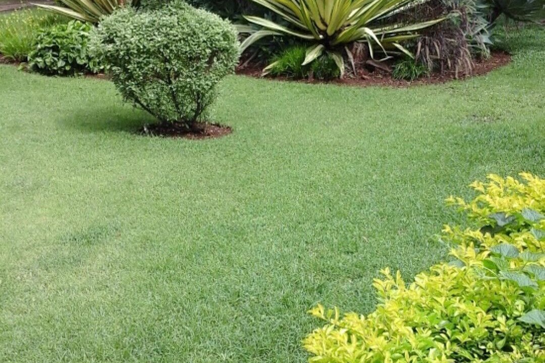 Photo of Outdoor in Harare