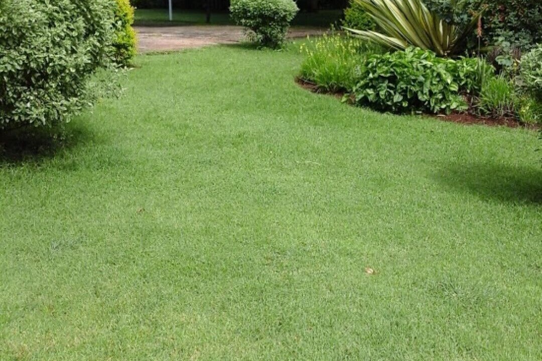 Photo of Outdoor in Harare
