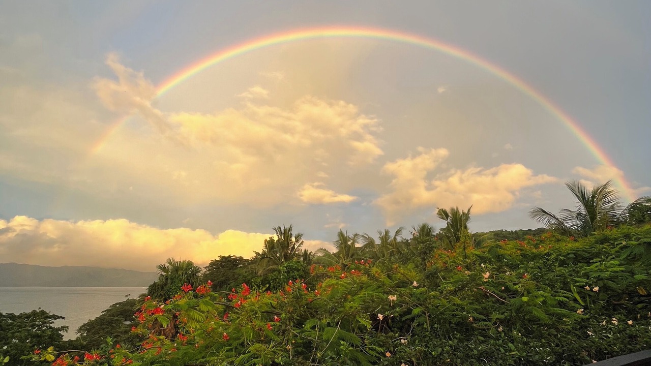 Photo of Others in Savusavu