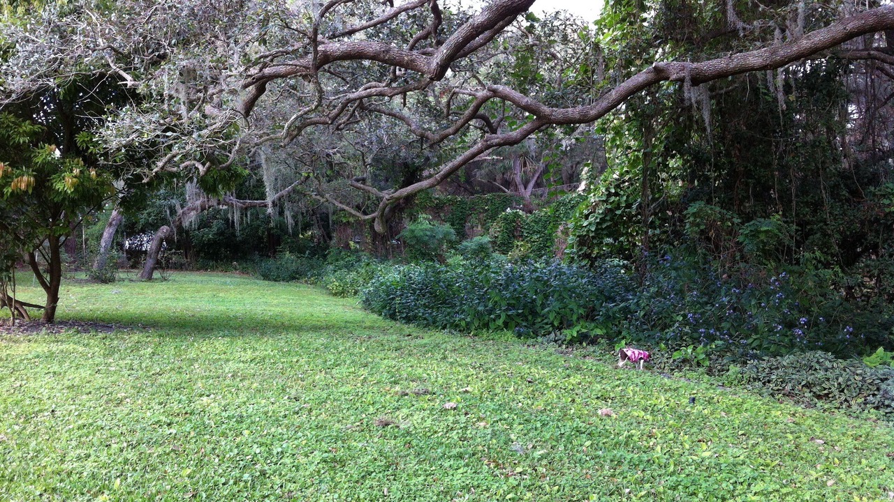 Photo of Others in Ridge Wood Heights