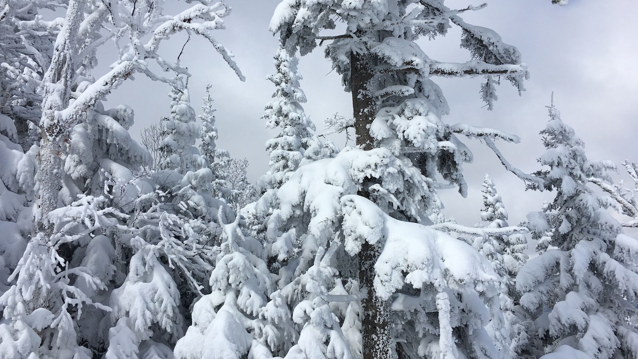 Photo of Others in Carrabassett Valley
