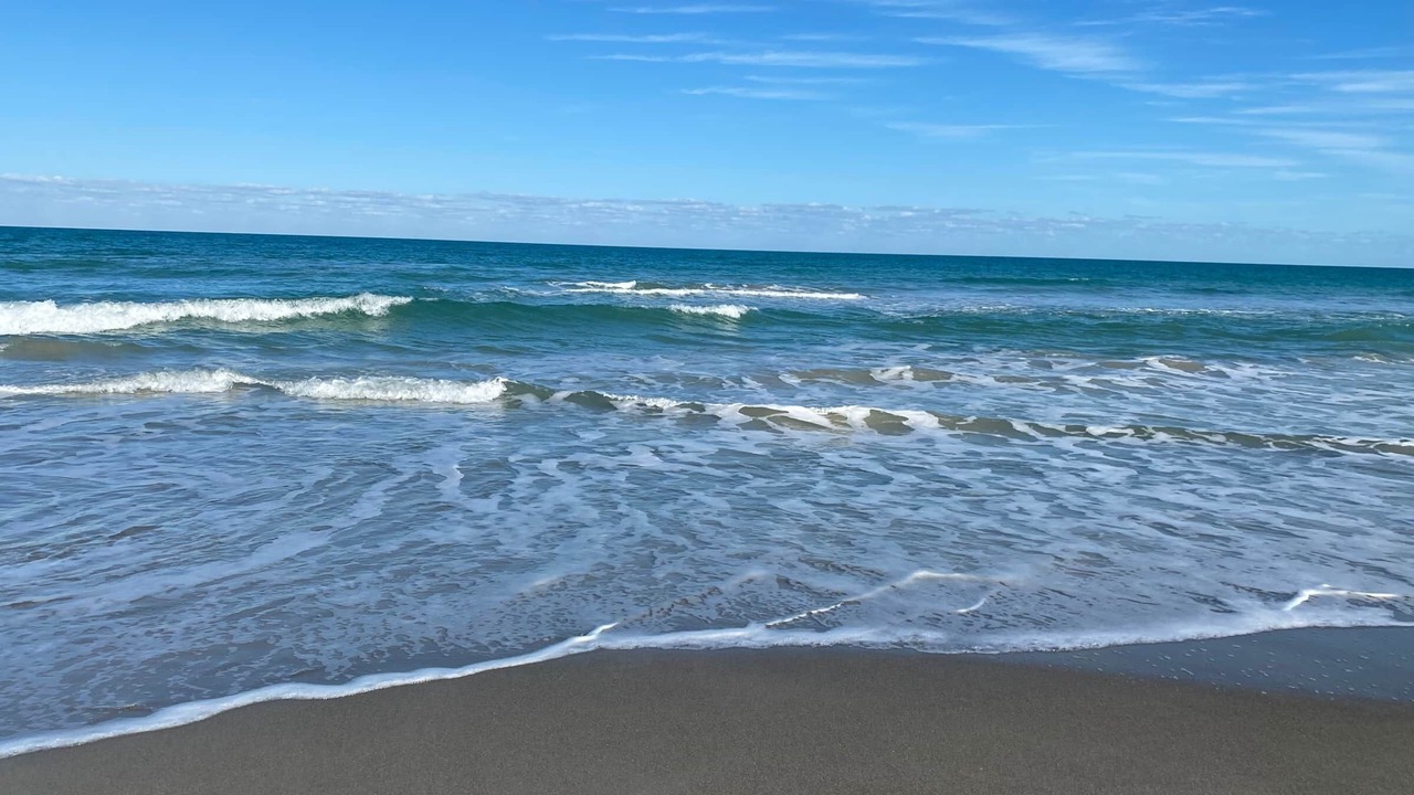 Photo of Others in Cocoa Beach