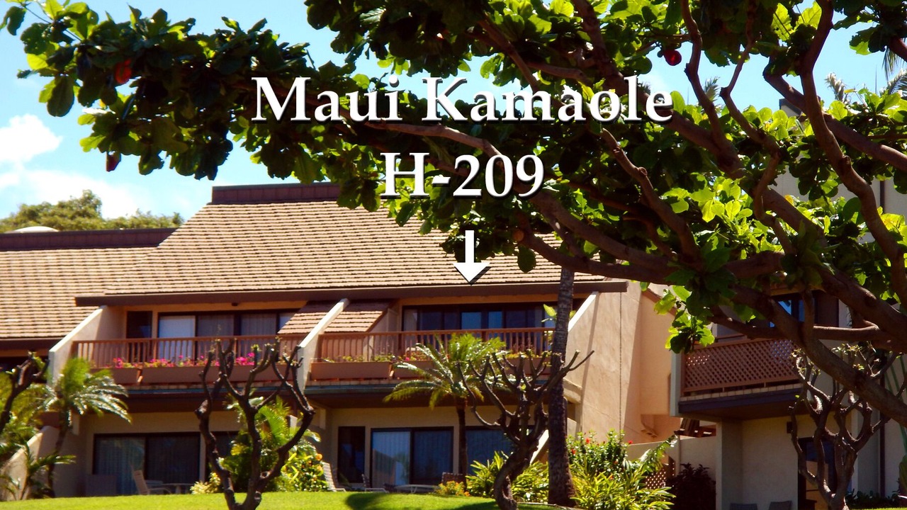 Photo of Others in Kihei