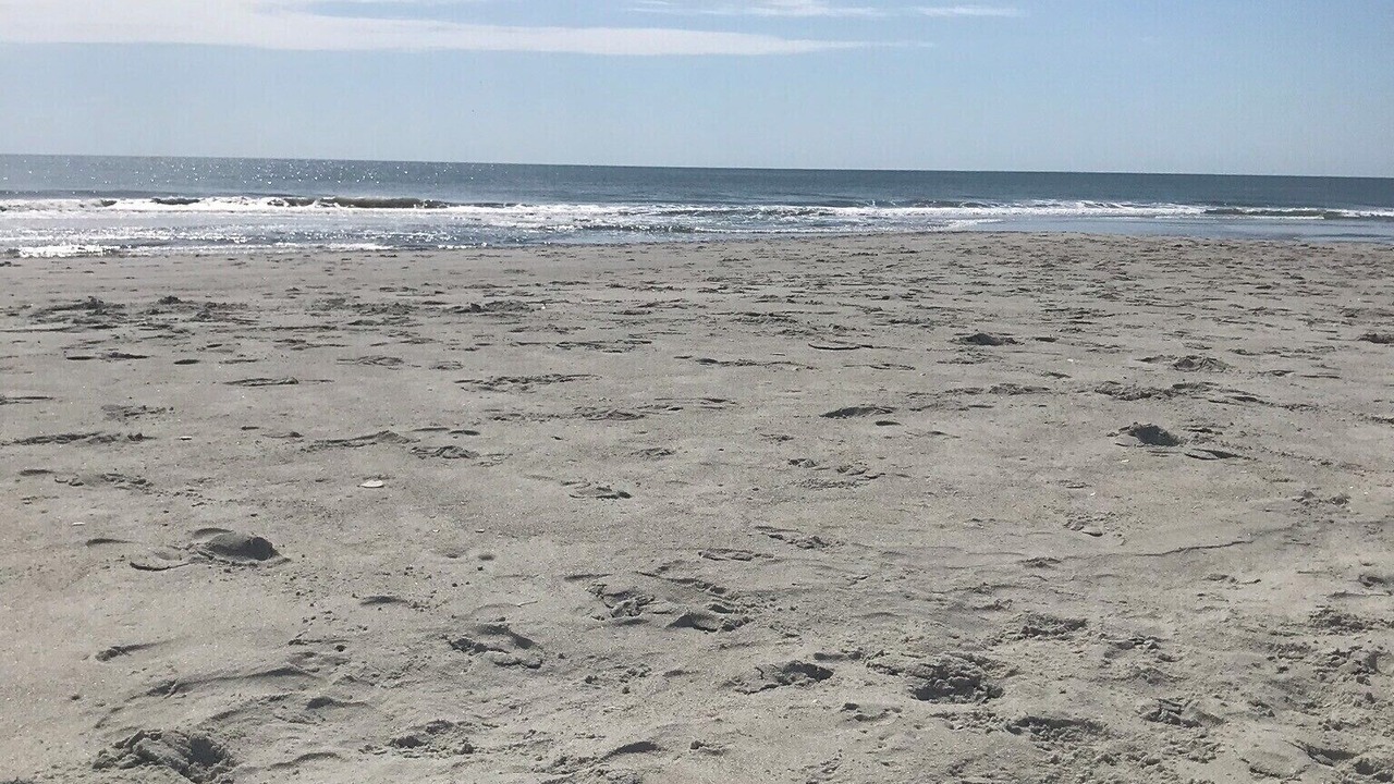 Photo of Outdoor in Surfside Beach