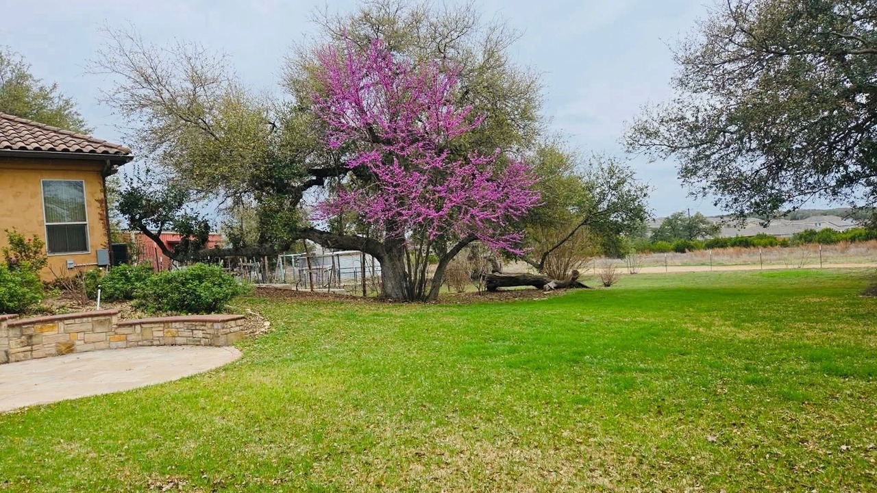 Photo of Outdoor in Bulverde
