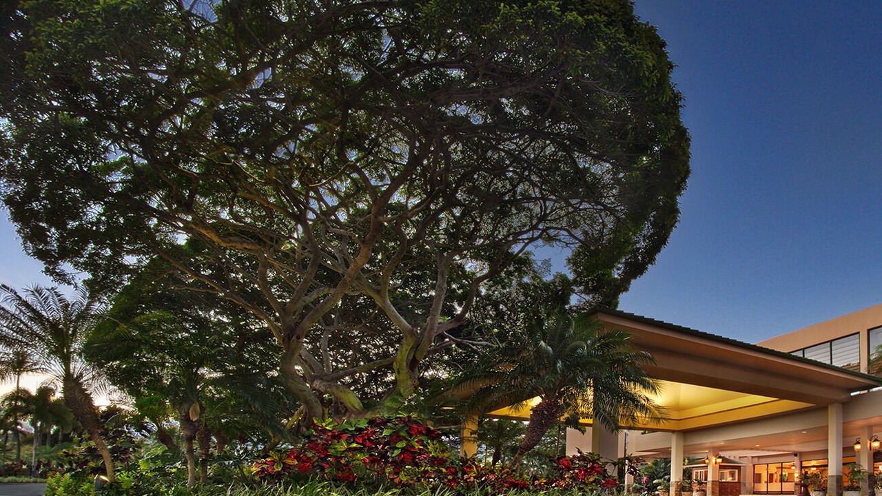 Photo of Outdoor in Kaanapali