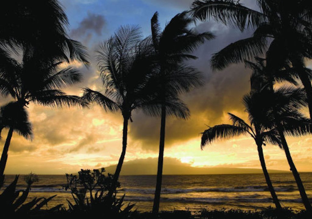 Photo of Others in Kaanapali