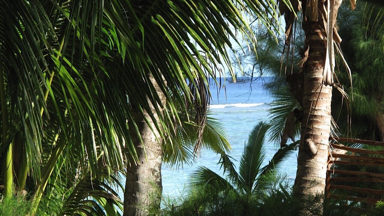 Photo of Outdoor in Arorangi