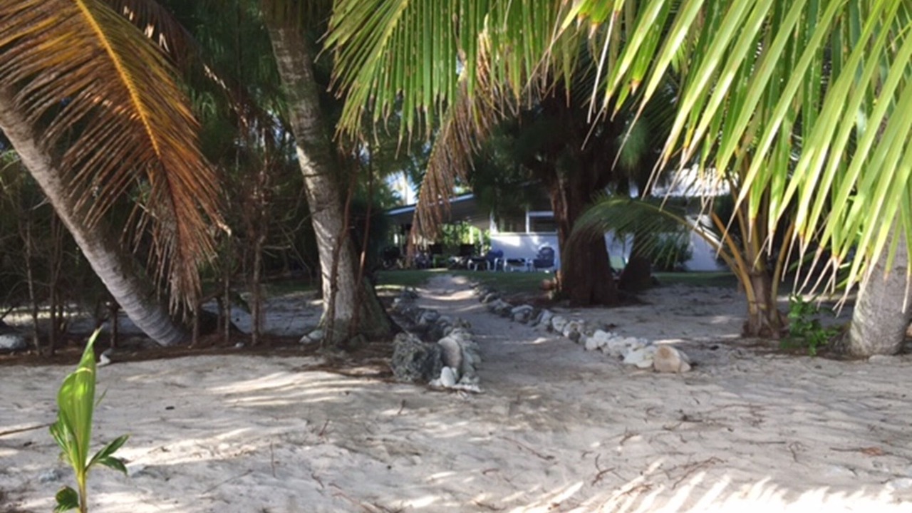 Photo of Outdoor in Arorangi