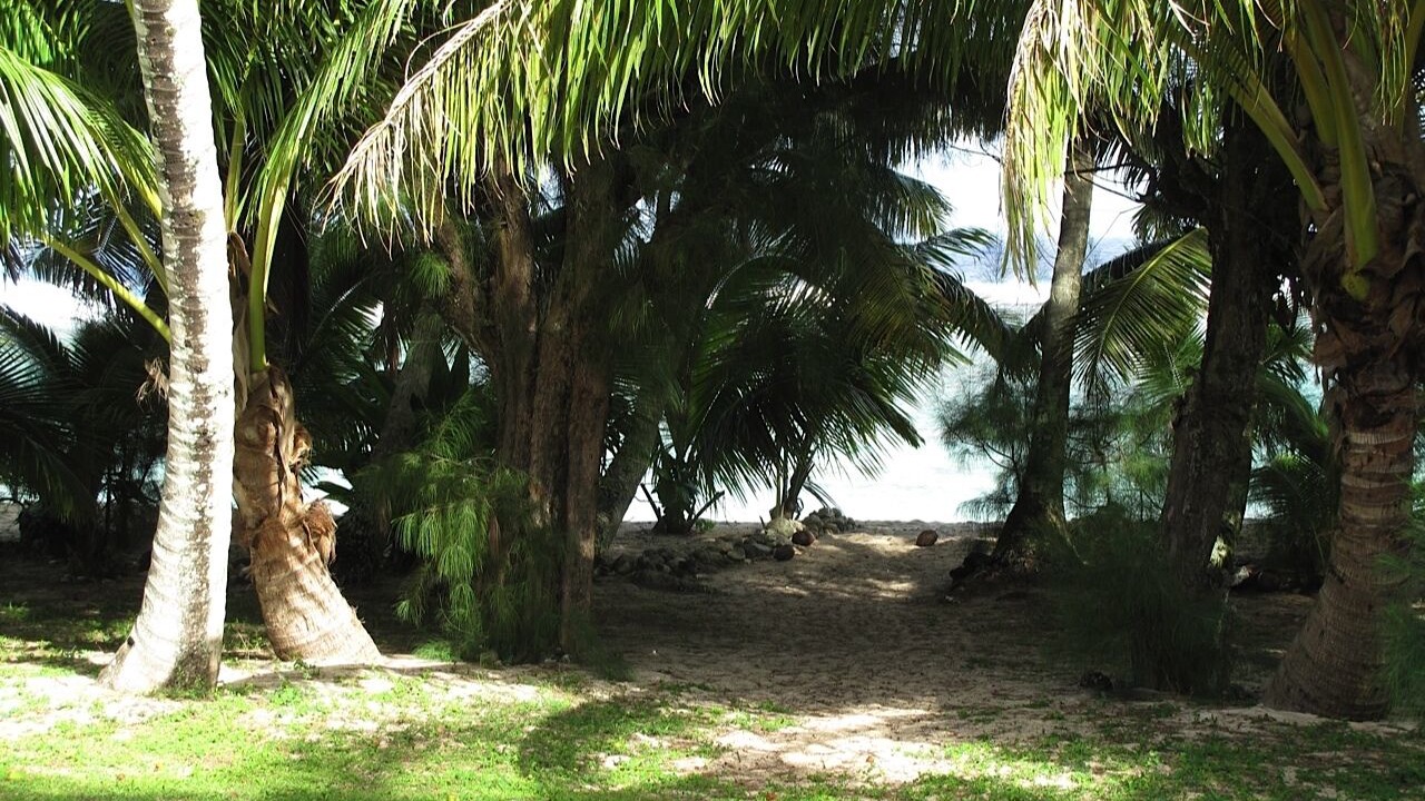 Photo of Outdoor in Arorangi