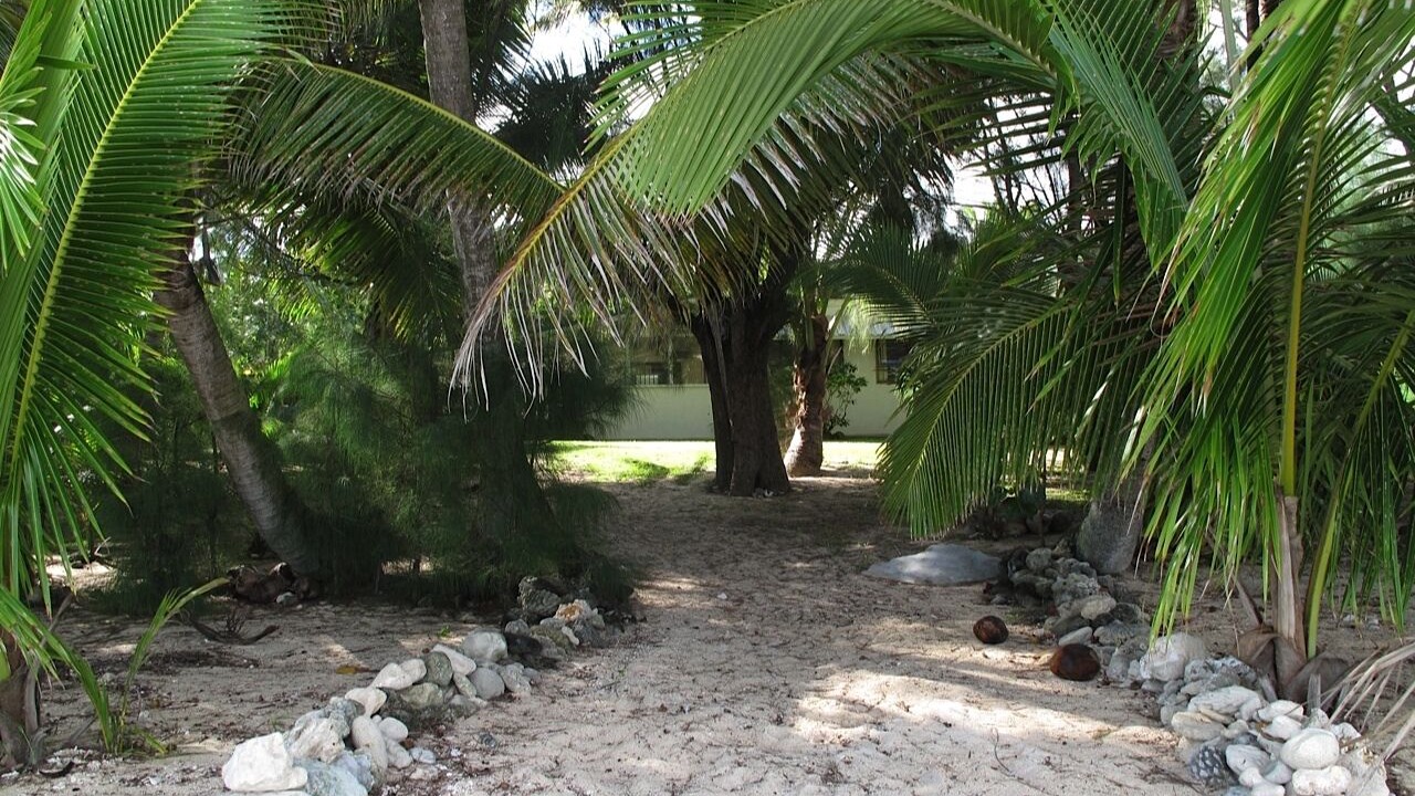 Photo of Outdoor in Arorangi
