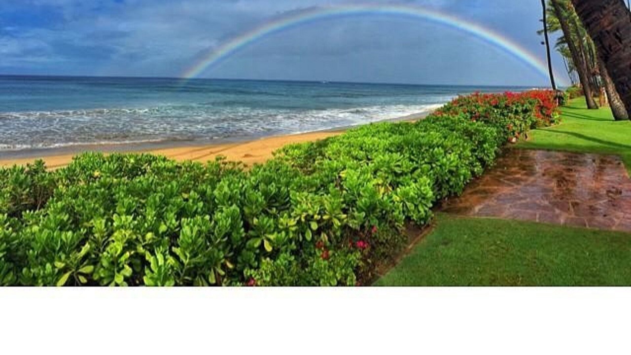 Photo of Others in Kaanapali
