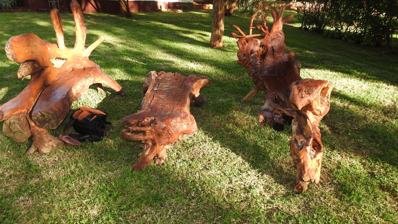 Photo of Outdoor in Harare East