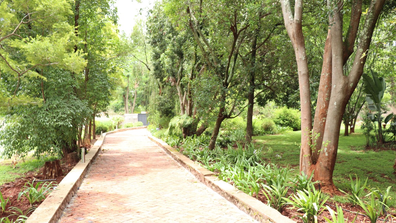 Photo of Outdoor in Harare East