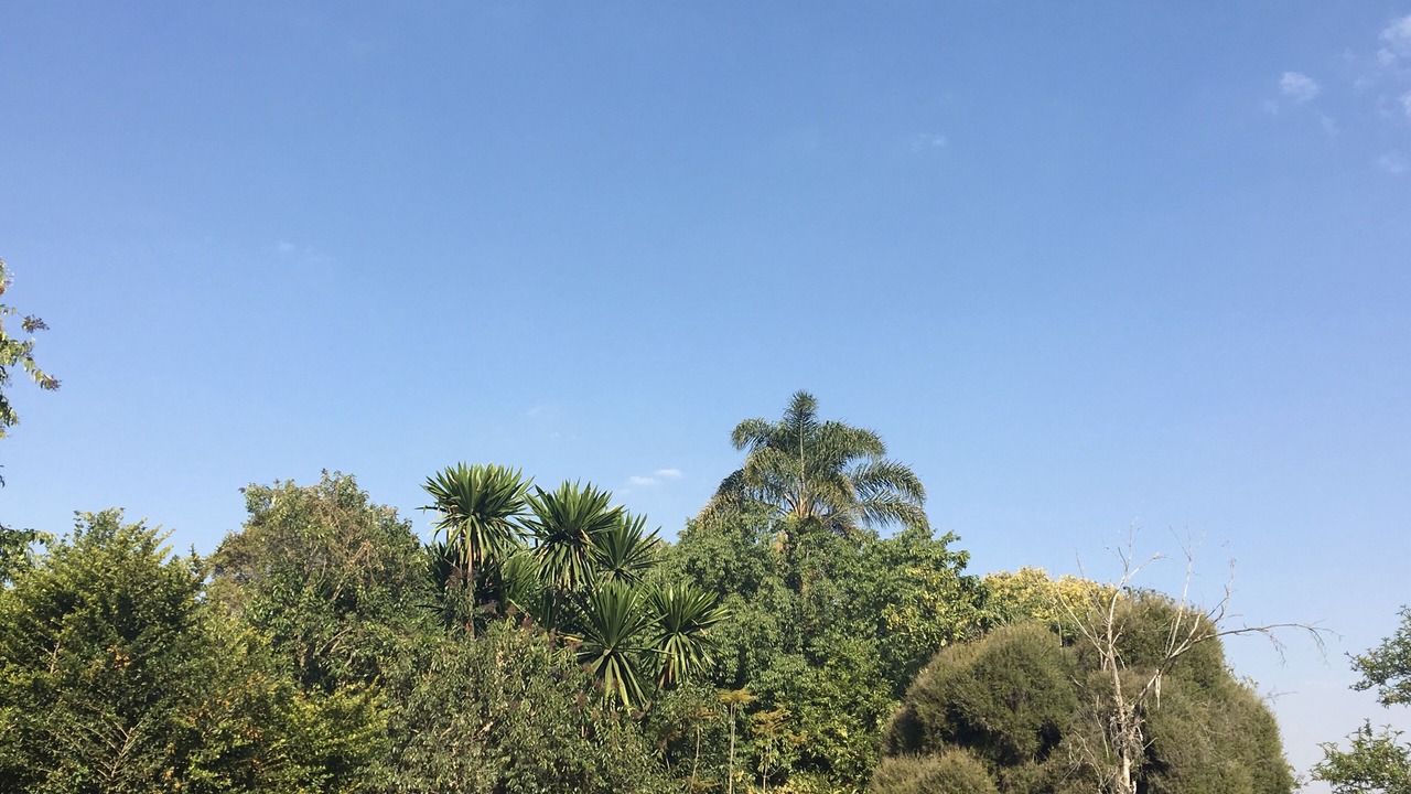 Photo of Outdoor in Harare East