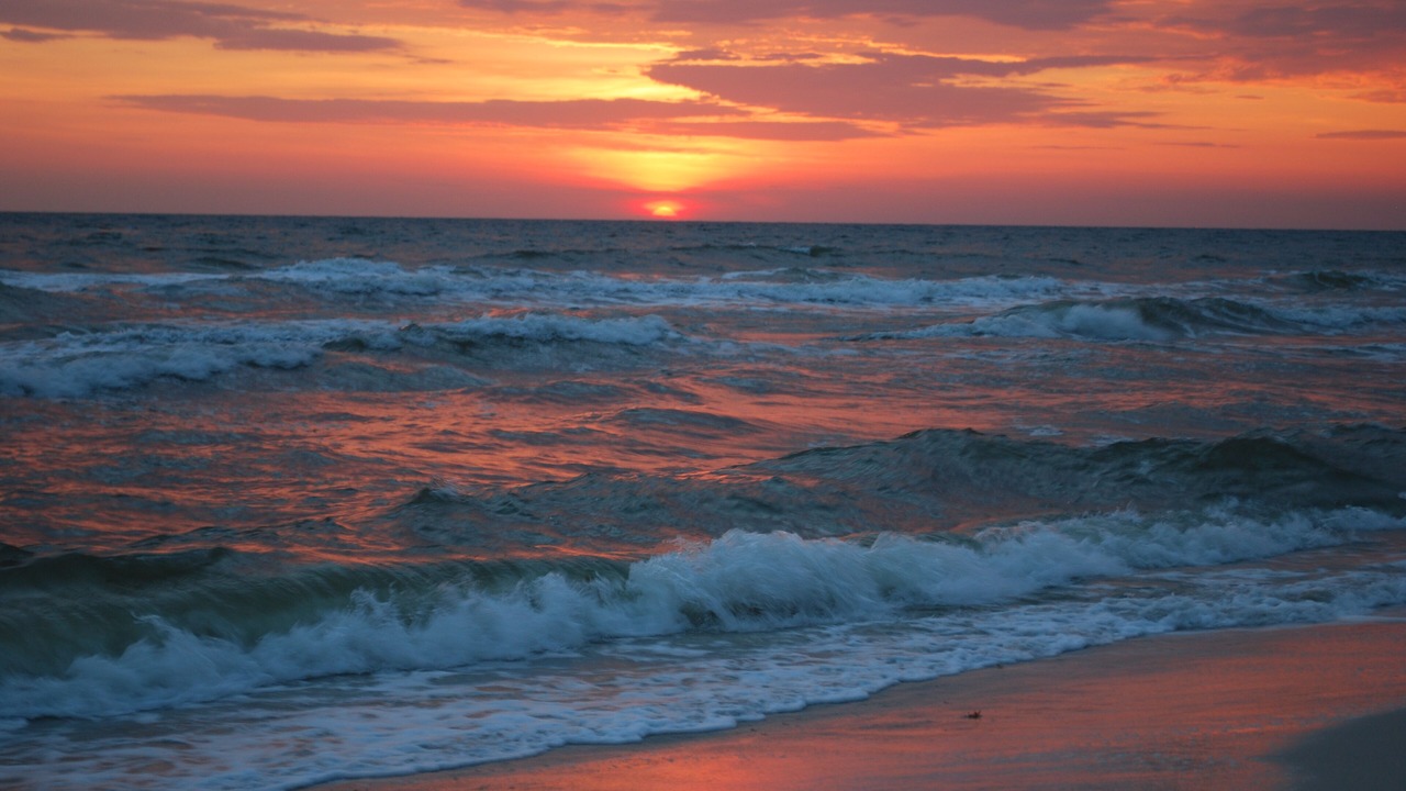 Photo of Others in Port St. Joe