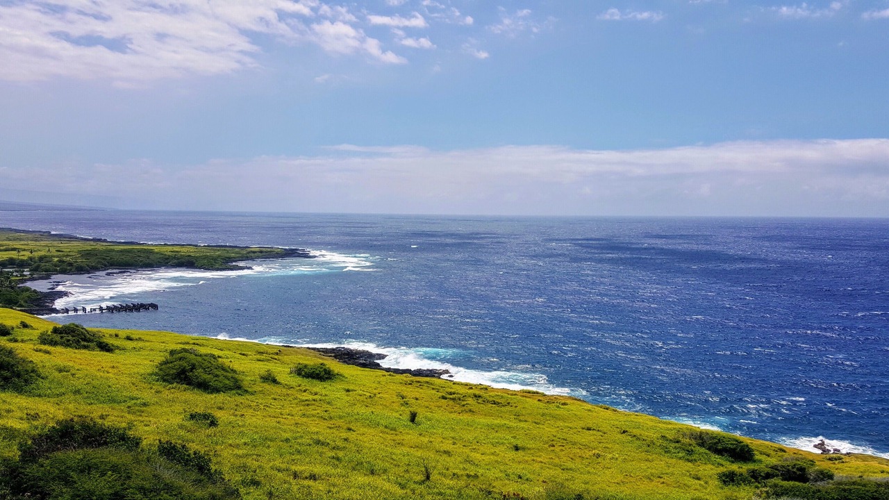 Photo of Others in Kalapana