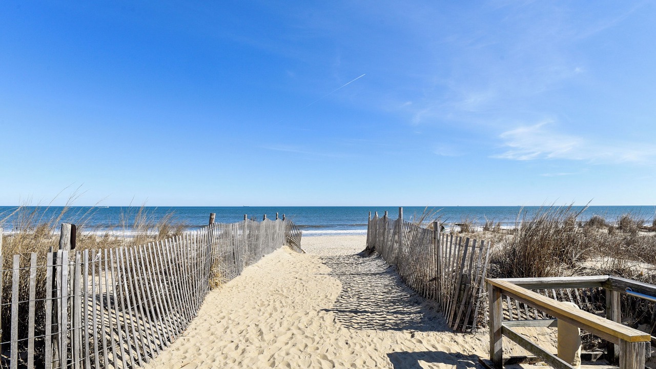 Photo of Others in Rehoboth Beach