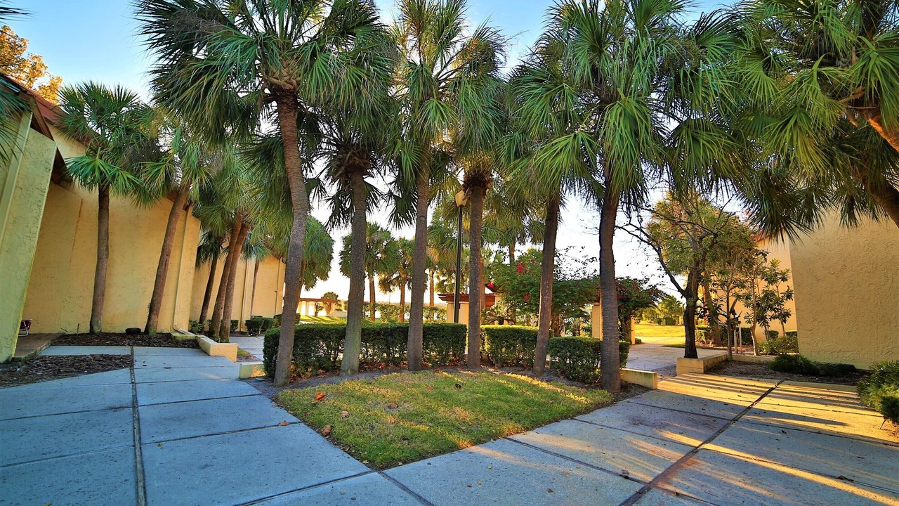 Photo of Outdoor in Florida Central Atlantic Coast