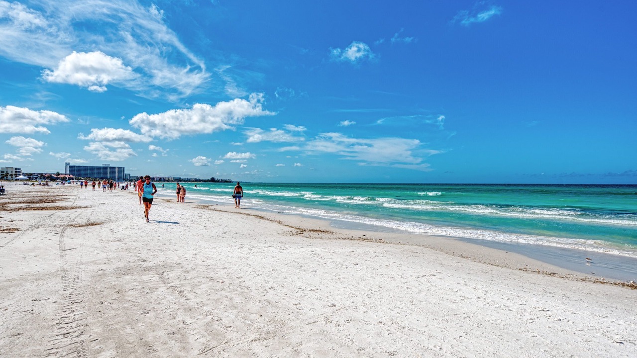 Photo of Others in Siesta Key