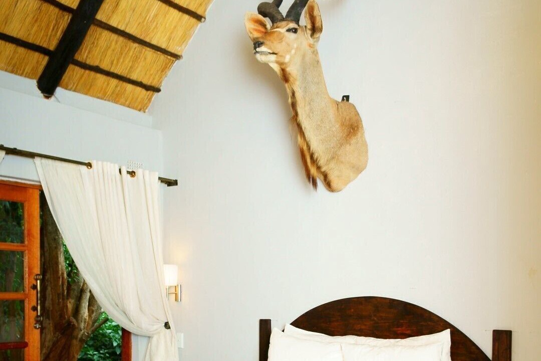 Photo of Bedroom in Harare East