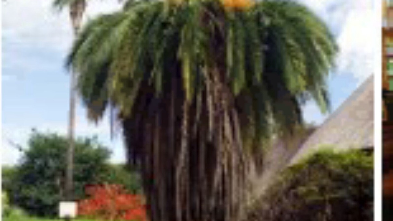 Photo of Outdoor in Harare East