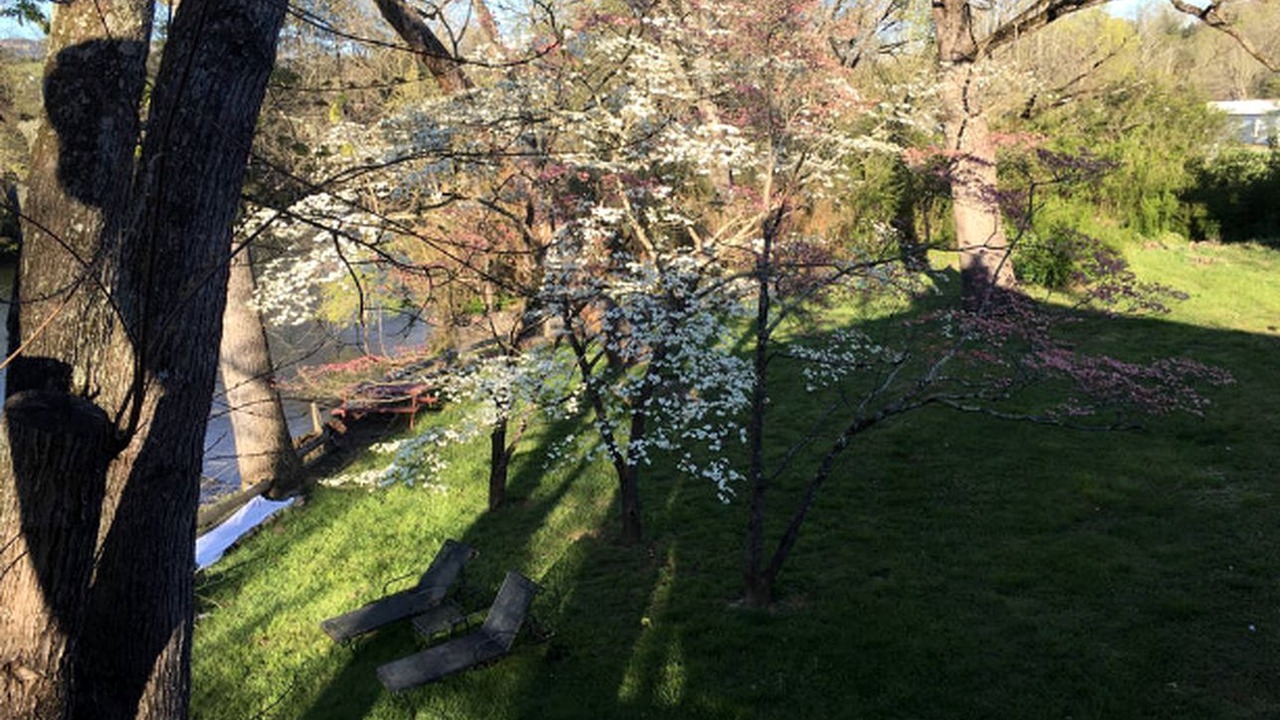 Photo of Outdoor in Townsend