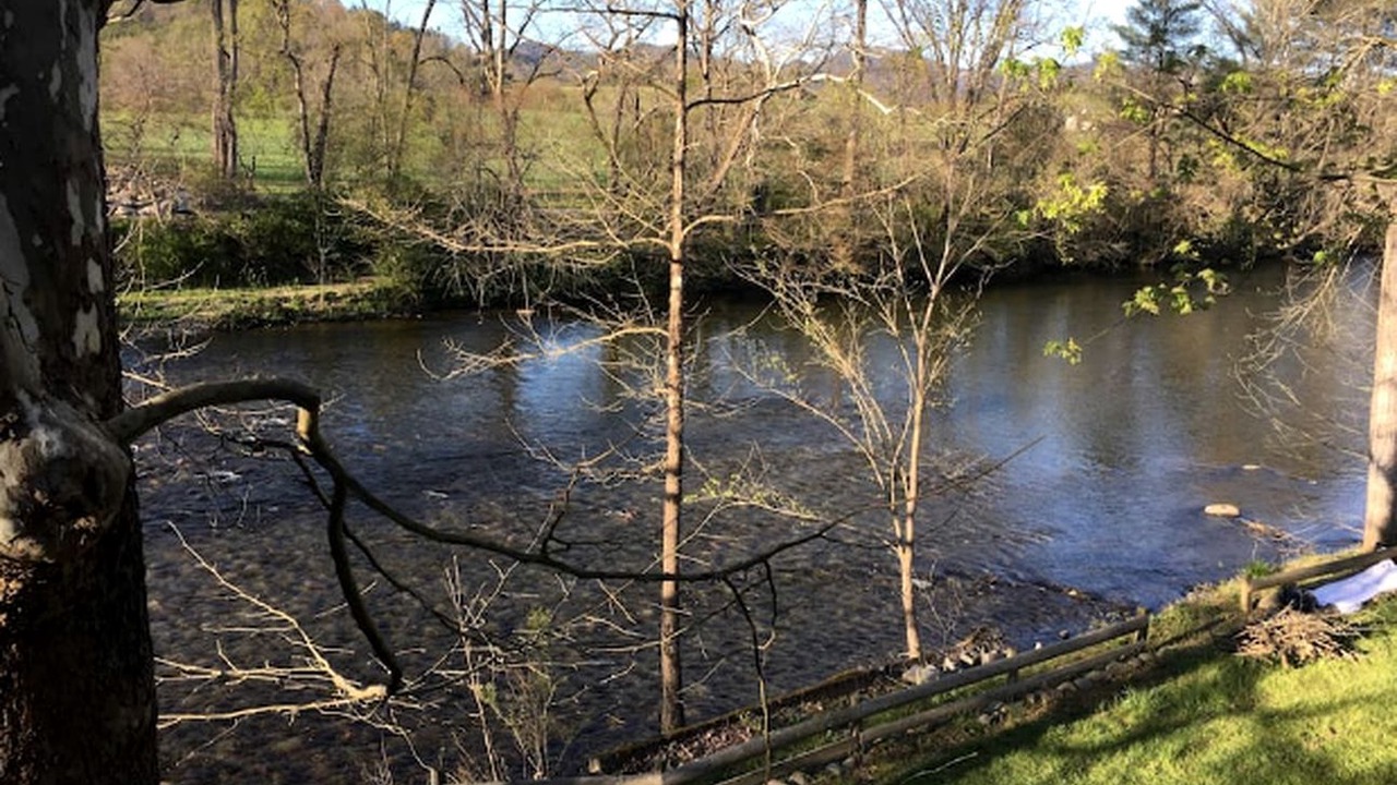 Photo of Others in Townsend